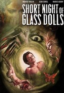 The Short Night of the Glass Dolls poster image