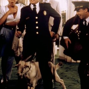 POLICE ACADEMY 5: ASSIGNMENT: MIAMI BEACH, Leslie Easterbrook (far left), G. W. Bailey (second from left), Bubba Smith (third from left), 1988. ©Warner Bros