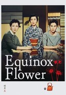 Equinox Flower poster image