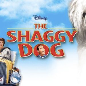 The Shaggy Dog - Rotten Tomatoes