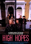 High Hopes poster image