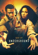 Underground poster image