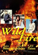 Wildfire poster image