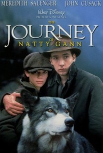 The Journey of Natty Gann poster