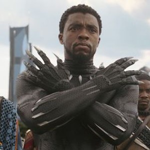 Best Black Panther Moments photo 7