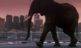 Twelve Monkeys: Official Clip - Zoo Animals Run Free