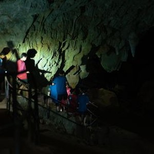 The Trapped 13: How We Survived The Thai Cave - Rotten Tomatoes