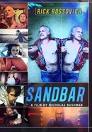 Sandbar poster image