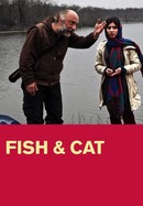 Fish & Cat poster image