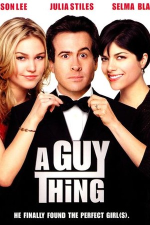 A Guy Thing poster
