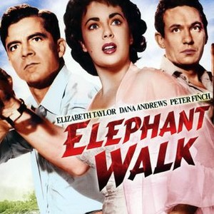 Elephant Walk (1954) photo 11