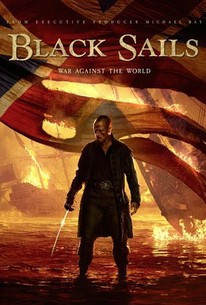 Black Sails: Season 3 poster image