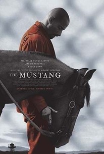Watch trailer for The Mustang
