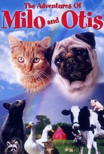 Poster for The Adventures of Milo and Otis