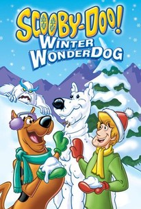 Scooby-Doo - Winter Wonderdog