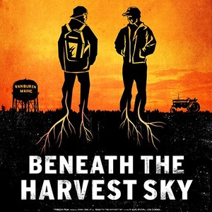 Beneath the Harvest Sky photo 17
