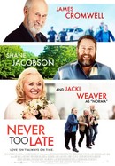 Never Too Late poster image