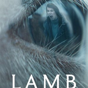 Lamb photo 6