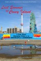 Last Summer at Coney Island
