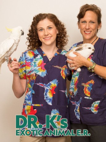 Dr kelleher shop exotic vet
