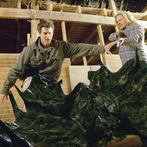 Larva Rotten Tomatoes