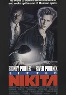 Little Nikita poster image