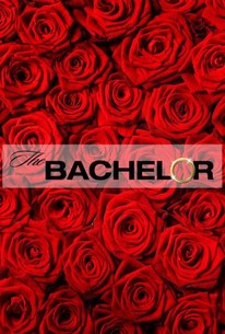 Watch trailer for The Bachelor