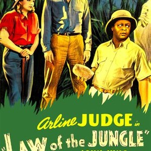 Law of the Jungle (1942) photo 7