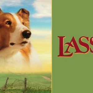 Lassie photo 4