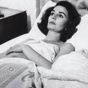 Life at the Top (1965) photo 10