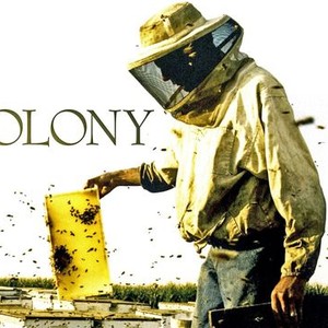 Colony photo 12