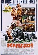Rhino! poster image