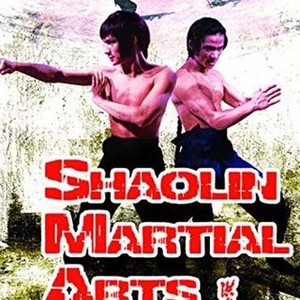 Shaolin Martial Arts (1975) photo 13
