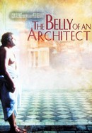 The Belly of an Architect poster image