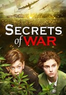 Secrets of War poster image
