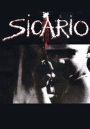 Sicario poster image