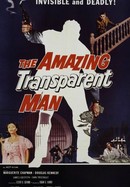 The Amazing Transparent Man poster image
