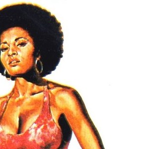 "Coffy photo 11"