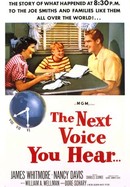 The Next Voice You Hear poster image