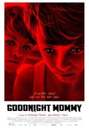Goodnight Mommy poster image