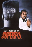 The Return of Superfly poster image