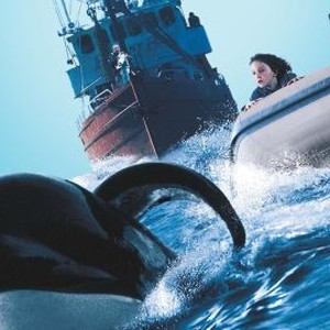 Free Willy 3: The Rescue photo 14