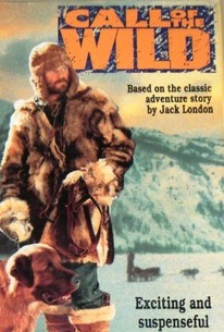 Call Of The Wild 1976 Rotten Tomatoes