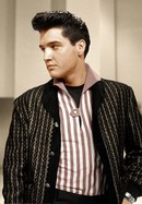 Elvis Presley: The Searcher poster image