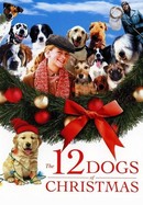The 12 Dogs of Christmas poster image