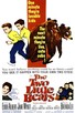 Poster for 