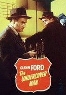 The Undercover Man poster image
