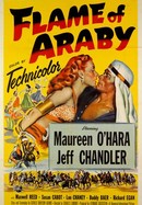 Flame of Araby poster image