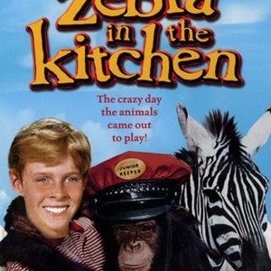 Zebra in the Kitchen (1965) photo 10