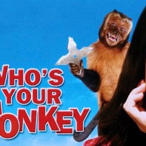 Who's Your Monkey?